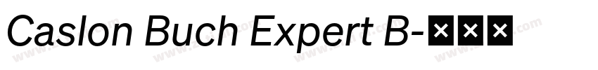 Caslon Buch Expert B字体转换